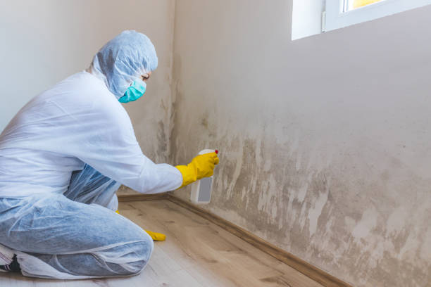 Licensed Crawl Space Mold Removal service in Beccaria, PA - WQB Mold Removal